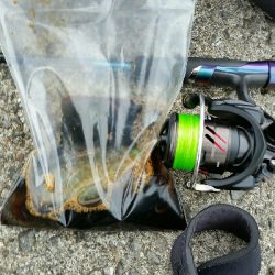 ミニアオリに囲まれて