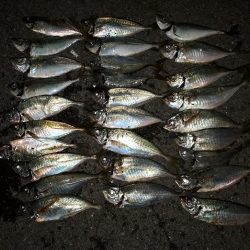 いい感じアジング