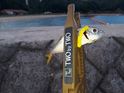 おひさの淡路島キャンプ