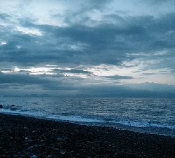 タチウオ釣れてます