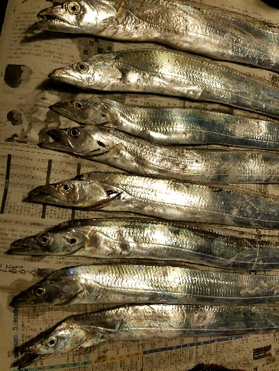 太刀魚釣り ~久し振りに満足~