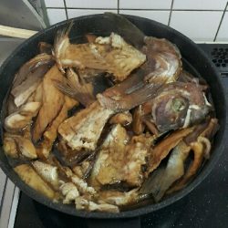 海上釣堀からの神戸タチウオ釣り