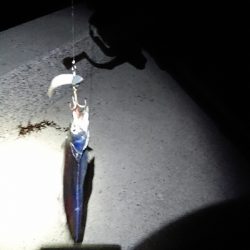 テクニカル刀狩り