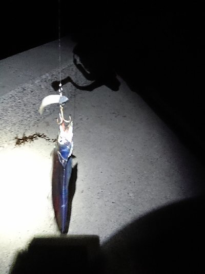 テクニカル刀狩り