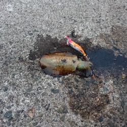 旅行合間釣行！！