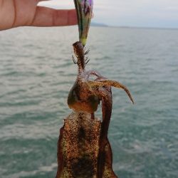 直江津ハッピー