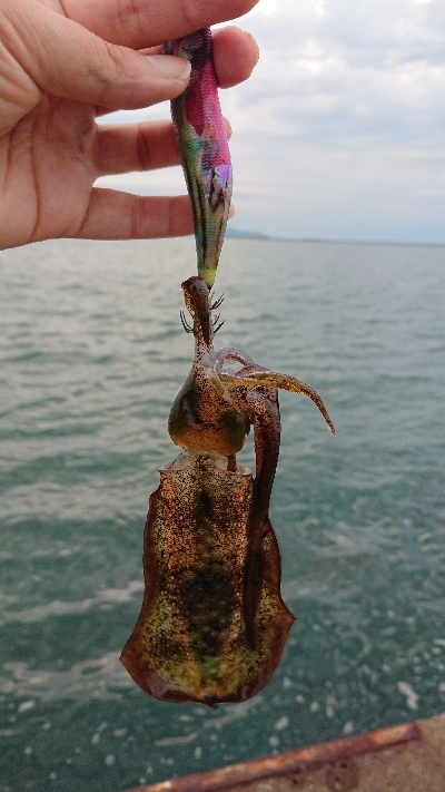 直江津ハッピー