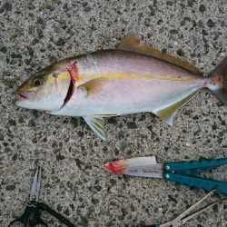 ダブル‼つ抜け(^^)vｯ