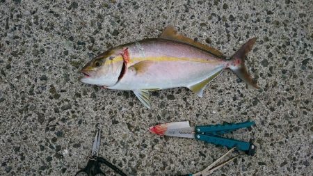 ダブル‼つ抜け(^^)vｯ