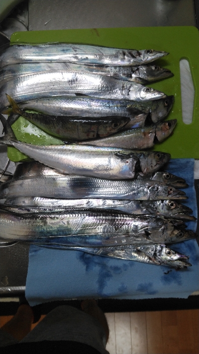 復活のアラバマン!