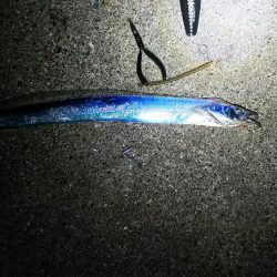 ポートアイランド沖堤防