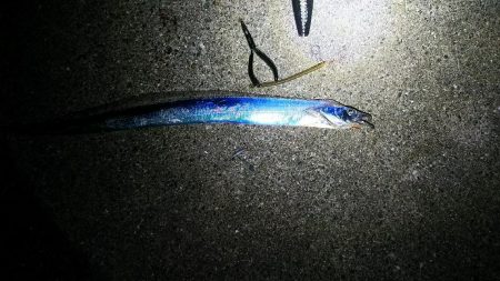 ポートアイランド沖堤防