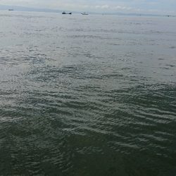 台風後の神戸沖堤防