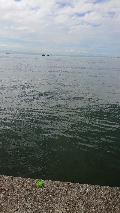 台風後の神戸沖堤防