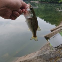 リザーバー釣行