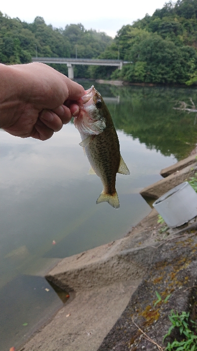 リザーバー釣行