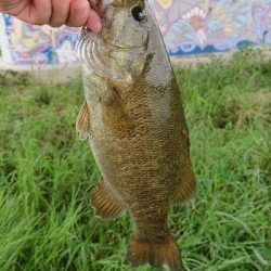 まさかのスモール