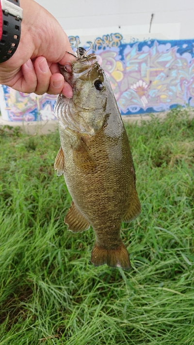まさかのスモール