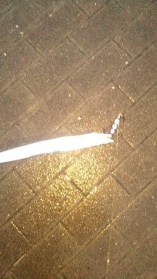 雨の中、台風前に