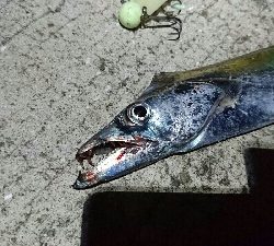 あたりはあるけど