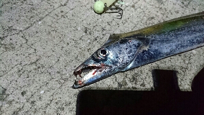 あたりはあるけど