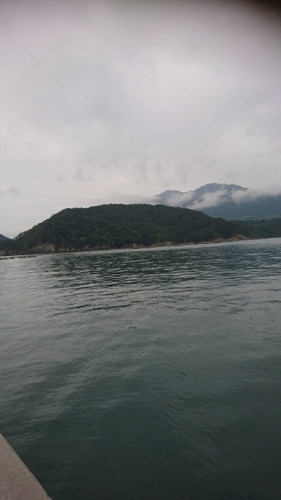 めっちゃ引く  シオ