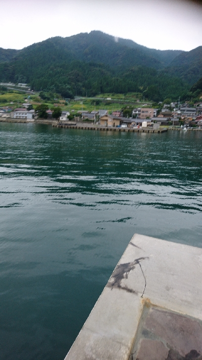 う～ん アオリ 渋い