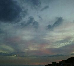 仕事帰りに様子見に