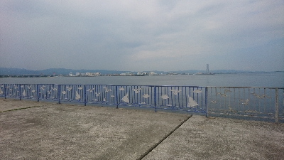 久しぶりのハマチ