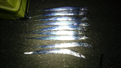 タチウオ・ハタ