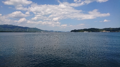 台風直後のイカ調査