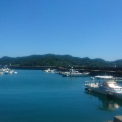 須崎市野見漁港ライトショアジギング