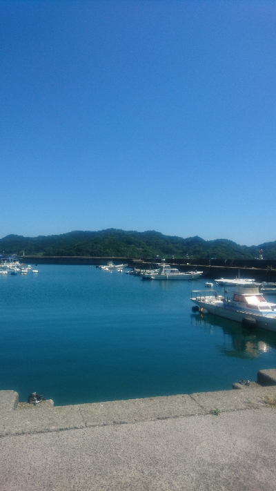 須崎市野見漁港ライトショアジギング