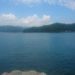 秋イカエギング