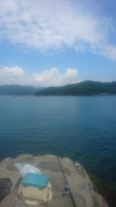 秋イカエギング