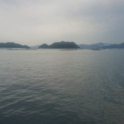 ライトショアジギング サバフグ狙い