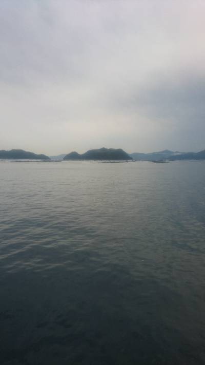 ライトショアジギング サバフグ狙い