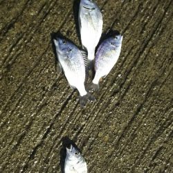 びしょ濡れ(ToT)