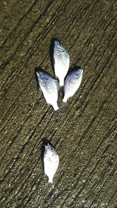 びしょ濡れ(ToT)