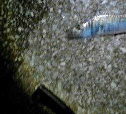 好調のはずが…