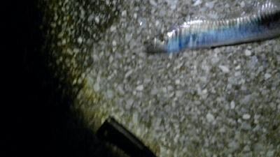 好調のはずが…