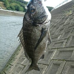 今日の釣果