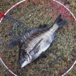 曇天で雰囲気バツグン！