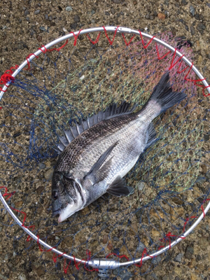 曇天で雰囲気バツグン！