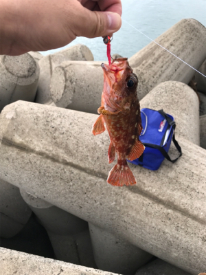雨の止み間に穴釣り