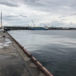 久しぶりの紀州釣り