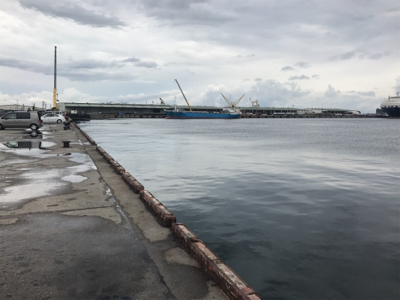 久しぶりの紀州釣り