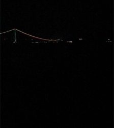 ケンサキイカいない