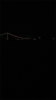 ケンサキイカいない