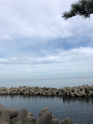 アオリイカつ抜け